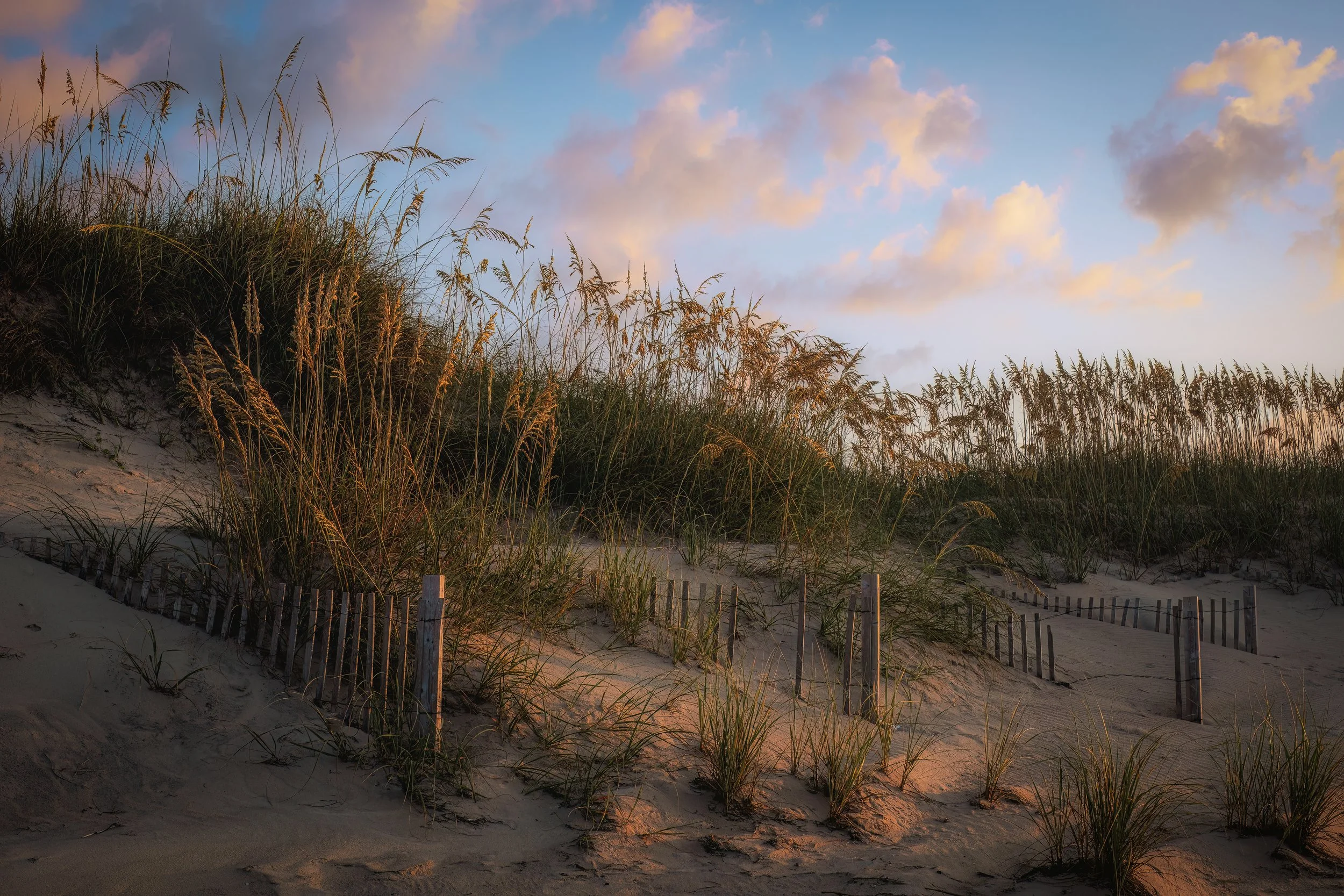 Landscapes — James Molloy Photography